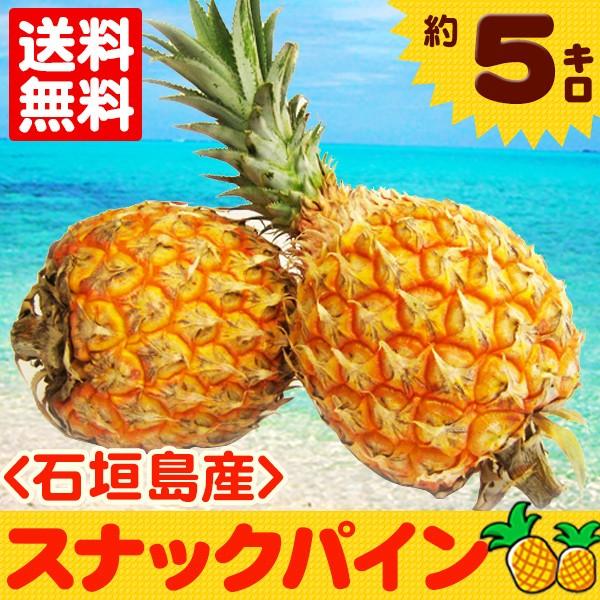 石垣島産スナックパイン 約5kg（4玉〜9玉）　沖縄産パイナップル