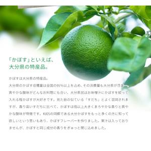 炭酸水 クオス かぼすフレーバー 500ml×...の詳細画像3