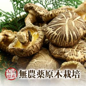 20％OFFクーポン対象 干し椎茸 乾燥椎茸 どんこ 120g 九州大分県産  国産 しいたけ シイタケ 原木栽培 乾燥野菜