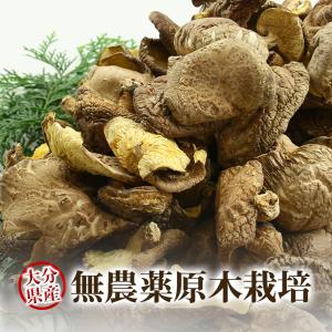干し椎茸 乾燥椎茸 バレ 300g 九州大分県産 国産 しいたけ シイタケ 原木栽培 燥野菜