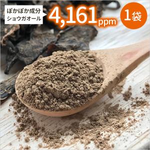 熟成蒸し黒生姜パウダー 1袋 25g入り 鹿児島県産 黄金しょうが100%使用 ショウガオール含有量が凄い 無添加 無着色 ウルトラ生姜