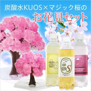 マジック桜と炭酸水KUOS クオスセット おうちでお花見気分が味わえるお花見セット