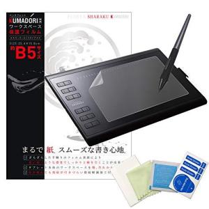 RAYWOOD 筆や写楽 ペンタブレット KUMADORI 専用 保護フィルム ペーパーライク 反射防止 指紋防止 フィルム貼り道具セット 付き