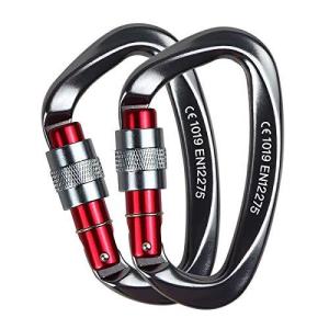 COBOTA 新版ロックカラビナ 25KN(2500kg) Dリング スリング 登山釦 CE認証 ロ用可2トンまで 脱落防止（2個） (ライトグレー)