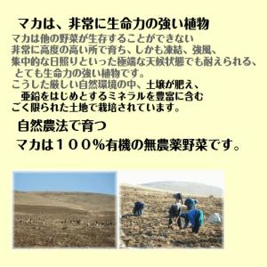 閉店セール 10000円→7800円+2袋おま...の詳細画像2