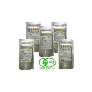 16％オフ マカ粉末 100g入り 5袋セット 通常より１０００円お得 無添加マカ100％