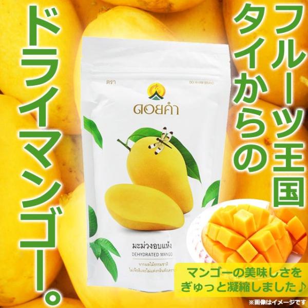 【正規品】ドイカム ドライマンゴー [140g×1袋] フルーツ大国タイランドより☆ Doi Kha...