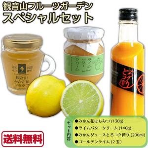 観音山 フルーツガーデン スペシャルセット ライムバタークリーム みかん花はちみつ みかんジュース ゴールデンライム 送料無料