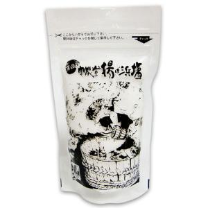 揚げ浜塩田 浜士の塩 1袋 50g 奥能登塩田村 石川 珠洲 すず 能登 珠洲の塩 すずの塩 能登の浜塩 揚げ浜式製塩 塩 しお 調味料 お土産 朝です 旅サラダ