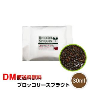 ブロッコリースプラウト 30ml 種 タネ  花粉症対策  令和  DM便送料無料｜macaron0120