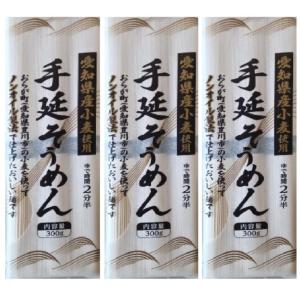 葵フーズ ＪＡひまわり愛知県産きぬあかり小麦使用 手延そうめん 100g×3束入り×3個 サタプラ 何でも試してランキング 素麺 手延べ 特産品 贈答 贅沢