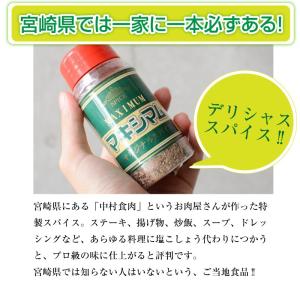 魔法のスパイス マキシマム 140g 1本 ス...の詳細画像1