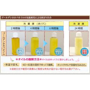 ゴールデンホホバオイル 1000ml ポンプ付...の詳細画像5