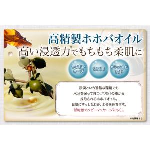 メール便送料無料 美容オイル プレミアム トラ...の詳細画像3
