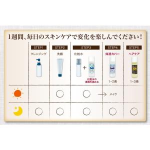 メール便送料無料 美容オイル プレミアム トラ...の詳細画像4