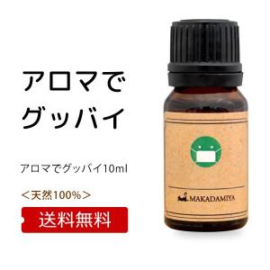 アロマ対策セット メール便送料無料 グッバイS...の詳細画像1