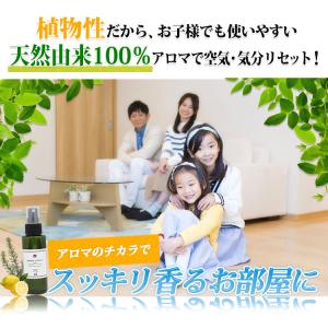 ルームアロマスプレー30ml×2本 天然由来1...の詳細画像2