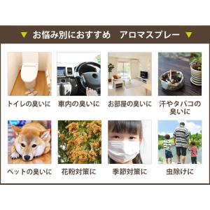 ルームアロマスプレー30ml×2本 天然由来1...の詳細画像4