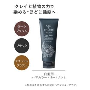 ヘアカラー トリートメント クレイ&ボタニカル...の詳細画像1