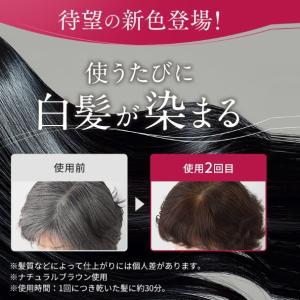 ヘアカラー トリートメント クレイ&ボタニカル...の詳細画像2