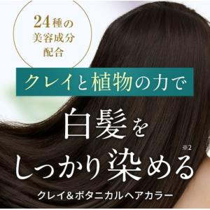 ヘアカラー トリートメント クレイ&ボタニカル...の詳細画像5