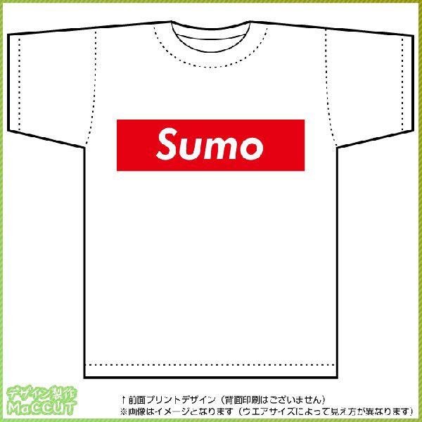 相撲Tシャツ（白）  ボックスロゴデザイン その他相撲用品