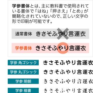 体操服 ゼッケン プリント 【2枚セット】自由...の詳細画像3