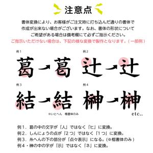 ゼッケン 卓球用1段レイアウト W25cm×H...の詳細画像5