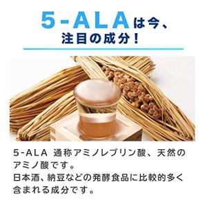 東亜産業 TOAMIT アラシールド TOA-...の詳細画像2