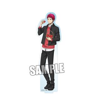 ハイキュー 描き下ろし激レア動物ver. 缶バッジ カゲタマゴ 侑キツネ