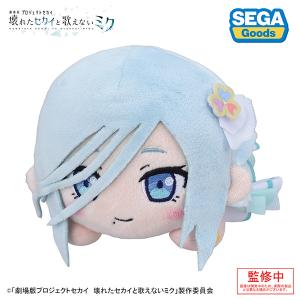 ポケモンセンターオリジナル ぬいぐるみ リーリエがたいせつにし