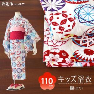 子供着物/ 鞠撫子と萩の花