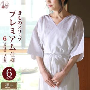 日本製 洗える 正絹 シルク スリップ 肌着 和装スリップ 絹100％ M L V