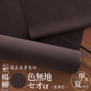 夏きもの] 洗える 着物 単衣 東レセオα 菱華 (チョコレートブラック