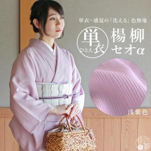 TORAY（東レ） 洗える 夏 着物 夏きもの 絽 色無地 若芽色 M L 日本製