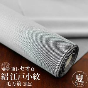 絽小紋反物 洗える着物 絽 江戸小紋 東レセオα フルオーダー 反物 毛万筋 (空色