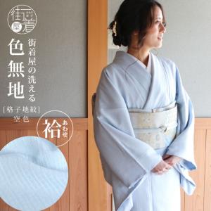 D191 夏着物　小紋　葡萄　蔦　紫　絽　正絹　極美品 D191 夏着物 小紋 葡萄 蔦 紫 絽 正絹 極美品 - メルカリ