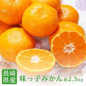 みかん 味っ子みかん 長崎 西海 2S 約2.5kg  みかん 高糖度 みかん 小粒 みかん 小玉 ミカン 味っ子 西海 みかん