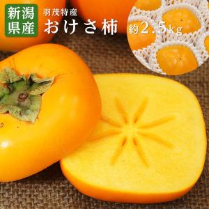 おけさ柿 秀品 新潟 9-11玉  約2.5kg おけさ柿 佐渡 たねなし柿 柿 種無し柿 種なし柿 かき カキ 平核無柿 刀根柿 ギフト 贈答