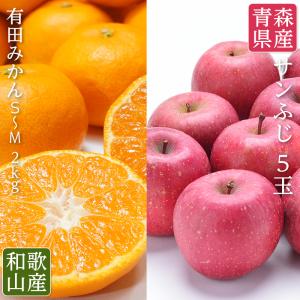 送料無料 青森県産 サンふじ 和歌山県産 有田みかん フルーツギフト 蜜入りサンふじ 有田みかん 和歌山 フルーツ 盛り合わせ サンふじ 青森 お歳暮｜machika