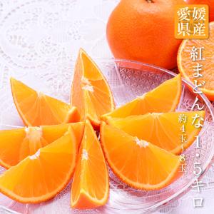 送料無料 愛媛県産 紅まどんな 4-8玉 約1.5kg 贈答 プレゼント 内祝い 出産祝い フルーツギフト ギフト お歳暮｜machika