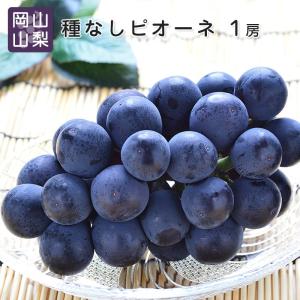 送料無料 岡山 山梨県産 種なしピオーネ 1房 ...の商品画像