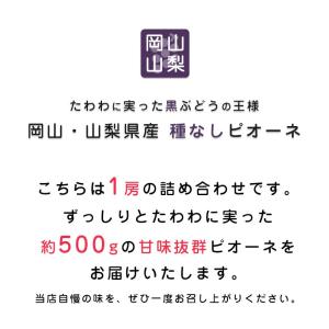 送料無料 岡山 山梨県産 種なしピオーネ 1房...の詳細画像1