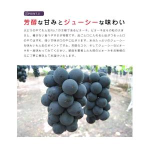 送料無料 岡山 山梨県産 種なしピオーネ 1房...の詳細画像5