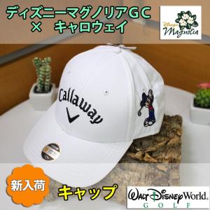町のゴルフ屋さん ウォルトディズニーワールドゴルフ場グッズ 海外ゴルフ場グッズ Yahoo ショッピング