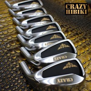 CRAZY（クレイジー） 響 アイアン用 ヘッドパーツ ＃6,7,8,9,Pw,P/A 6