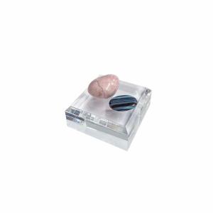 高級アクリルブロック 面取り SLOPE W50...の商品画像