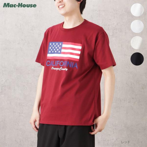 Tシャツ 半袖 メンズ アメカジ クルーネック 星条旗 国旗 アメリカ トップス ネコポス対応