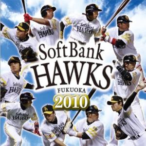 2010福岡ソフトバンクホークス　ホーク・ウイングス