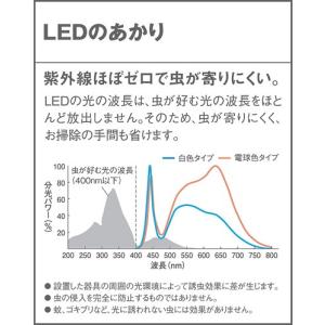 LSEW4062LE1 在庫あり パナソニック...の詳細画像4
